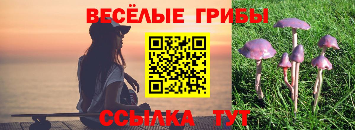 Галлюциногенные грибы GOLDEN TEACHER  Вход с VPN  Галлюциногенные грибы прущие грибы  Железногорск 