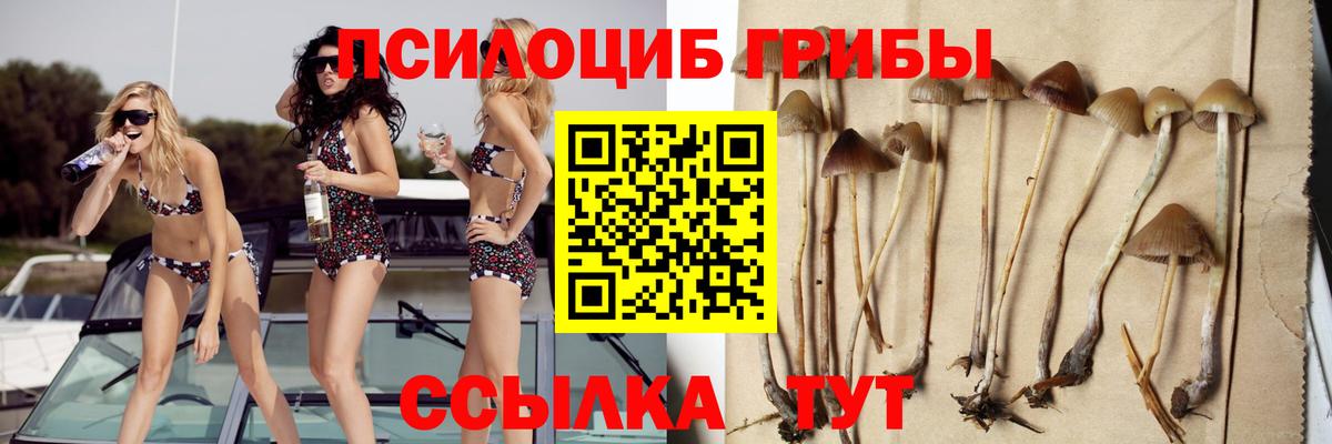 Галлюциногенные грибы ЛСД Железногорск